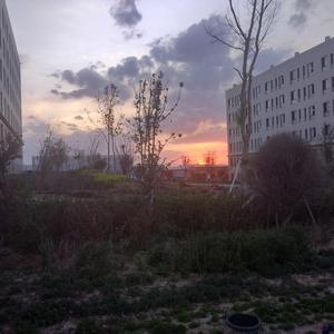 欧洲亚洲动漫视频
