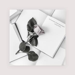 欧洲亚洲动漫视频
